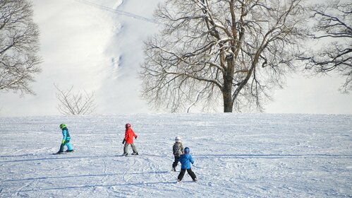 Parc d'activités de Prabouré