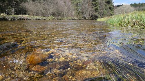 Rivière de l'Ance