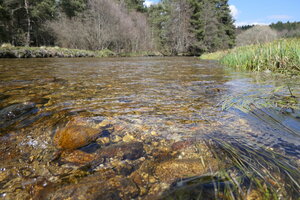 Rivière de l'Ance